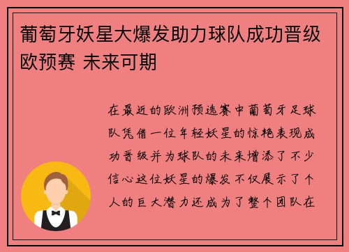 葡萄牙妖星大爆发助力球队成功晋级欧预赛 未来可期