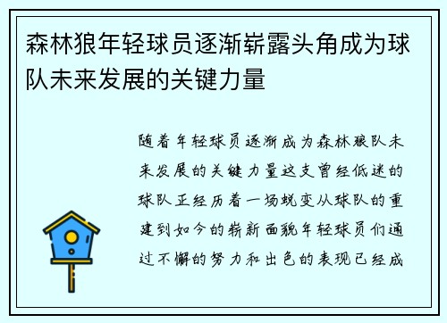 森林狼年轻球员逐渐崭露头角成为球队未来发展的关键力量